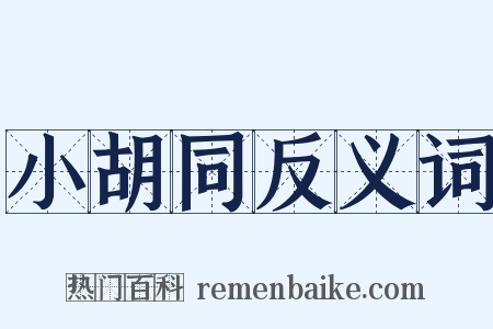 小胡同反义词是什么意思的图片